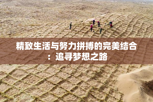 精致生活与努力拼搏的完美结合：追寻梦想之路
