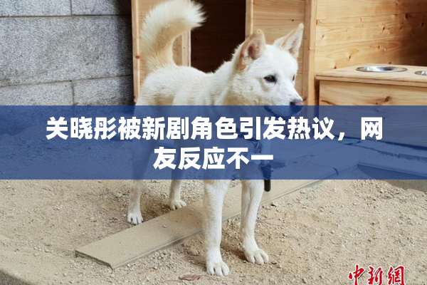 关晓彤被新剧角色引发热议，网友反应不一