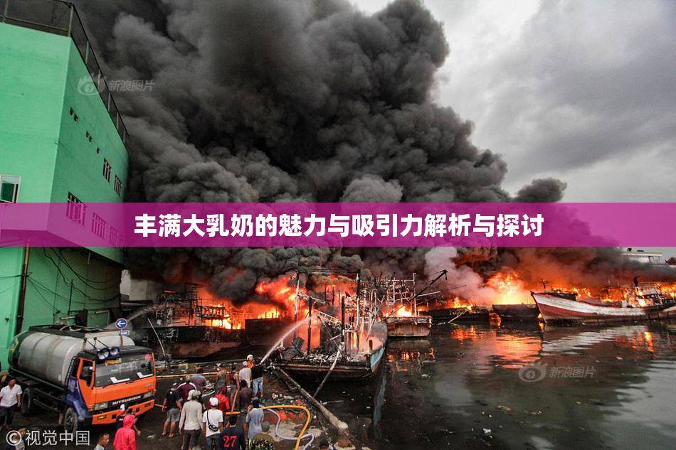 丰满大乳奶的魅力与吸引力解析与探讨