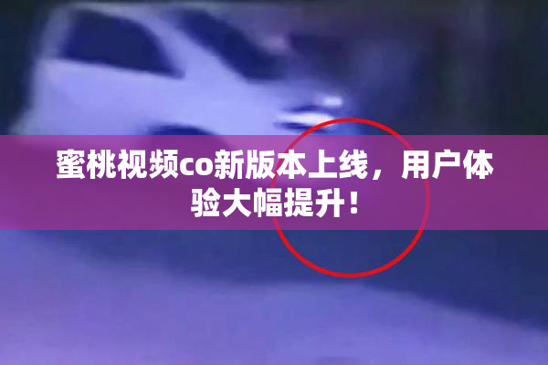 蜜桃视频co新版本上线，用户体验大幅提升！