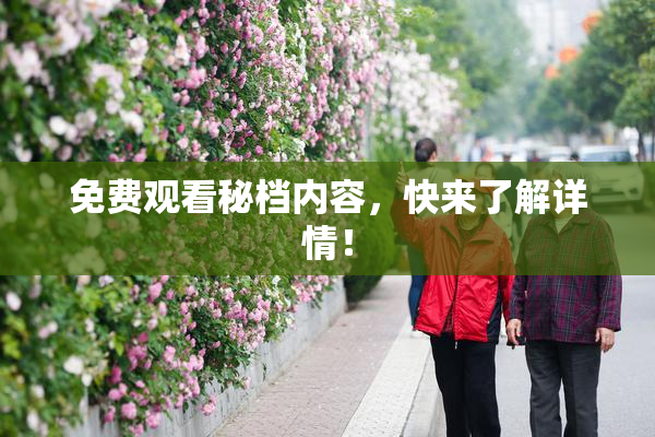 免费观看秘档内容，快来了解详情！