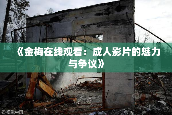《金梅在线观看：成人影片的魅力与争议》