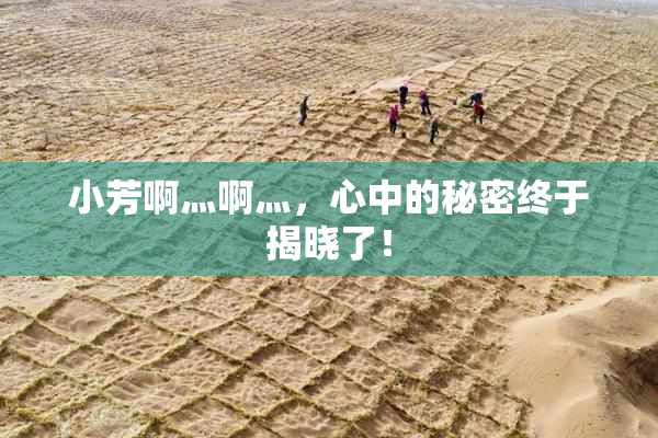 小芳啊灬啊灬，心中的秘密终于揭晓了！