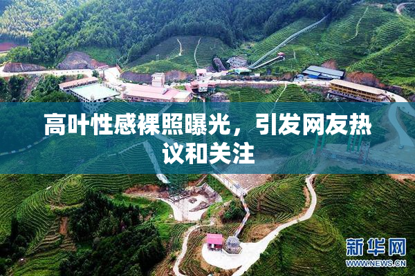 高叶性感裸照曝光，引发网友热议和关注