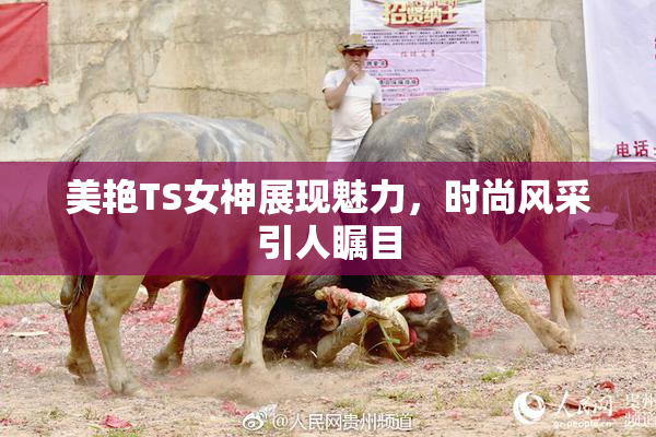 美艳TS女神展现魅力，时尚风采引人瞩目