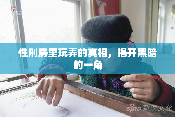 性刑房里玩弄的真相，揭开黑暗的一角