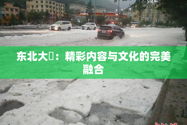 东北大鷄：精彩内容与文化的完美融合