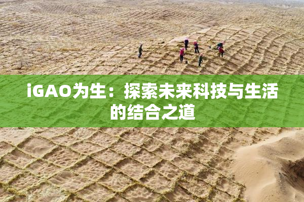 iGAO为生：探索未来科技与生活的结合之道