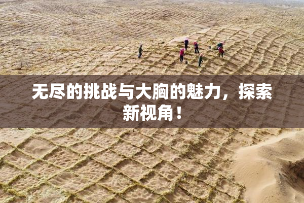 无尽的挑战与大胸的魅力，探索新视角！