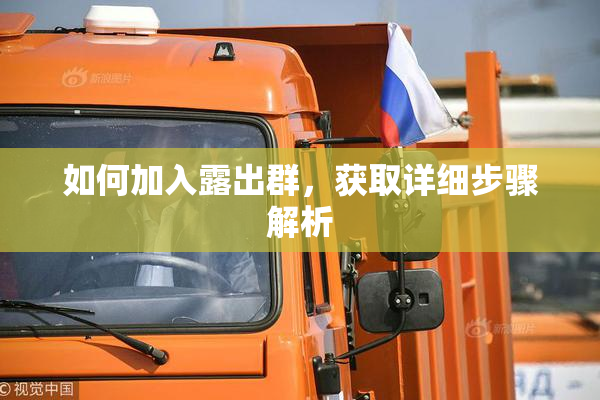 如何加入露出群，获取详细步骤解析