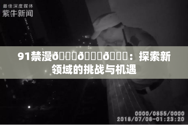 91禁漫🍆🍑🔞：探索新领域的挑战与机遇
