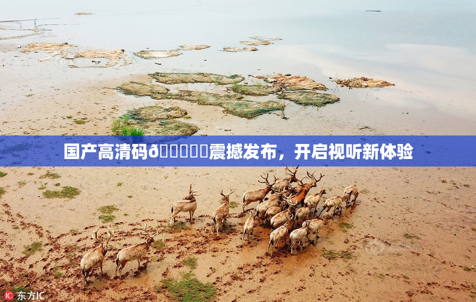 国产高清码🔞❌‌震撼发布，开启视听新体验