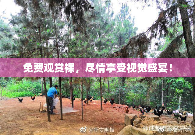 免费观赏裸，尽情享受视觉盛宴！