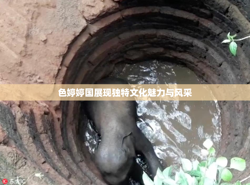 色婷婷国展现独特文化魅力与风采