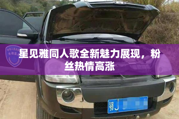 星见雅同人歌全新魅力展现，粉丝热情高涨