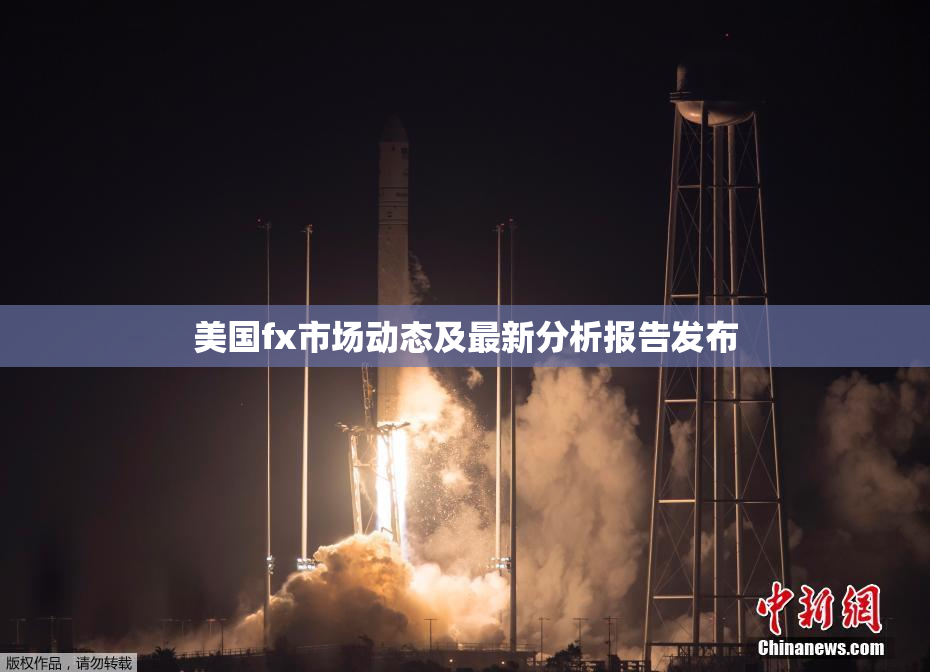 美国fx市场动态及最新分析报告发布