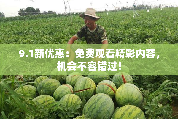 9.1新优惠：免费观看精彩内容，机会不容错过！
