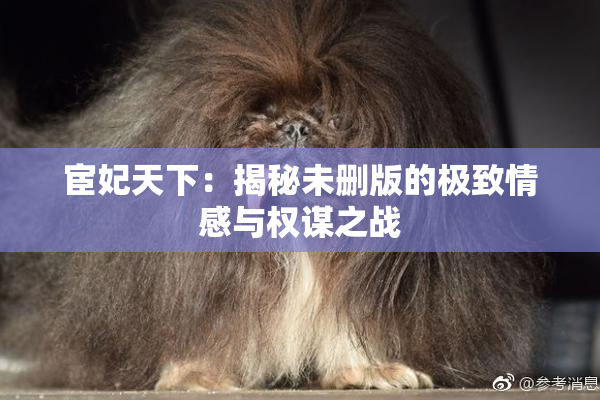 宦妃天下：揭秘未删版的极致情感与权谋之战