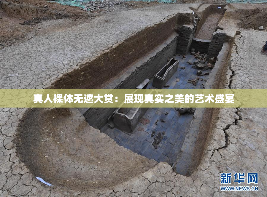 真人裸体无遮大赏：展现真实之美的艺术盛宴