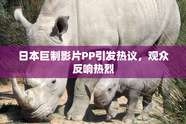 日本巨制影片PP引发热议，观众反响热烈