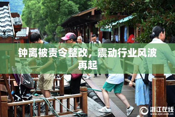 钟离被责令整改，震动行业风波再起
