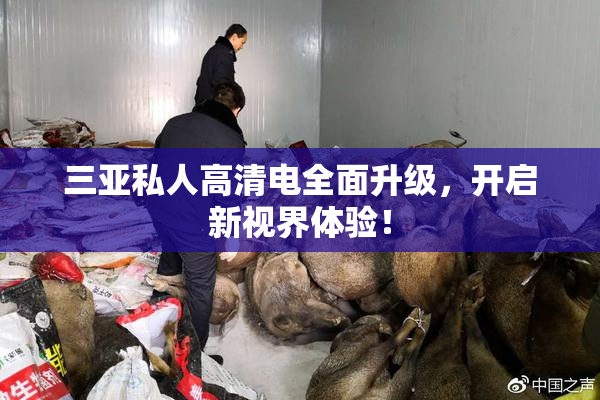 三亚私人高清电全面升级，开启新视界体验！