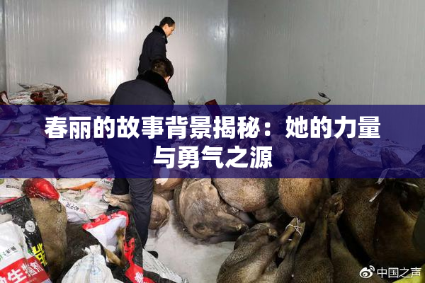 春丽的故事背景揭秘：她的力量与勇气之源