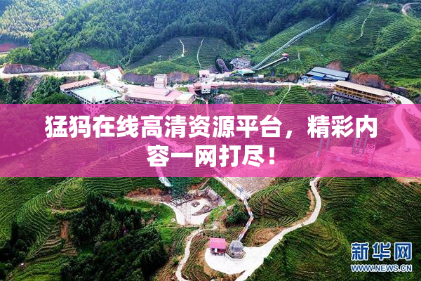 猛犸在线高清资源平台，精彩内容一网打尽！