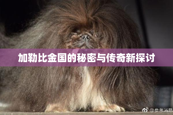 加勒比金国的秘密与传奇新探讨