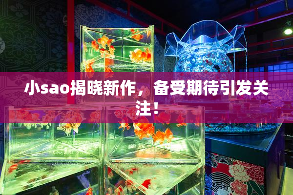 小sao揭晓新作，备受期待引发关注！