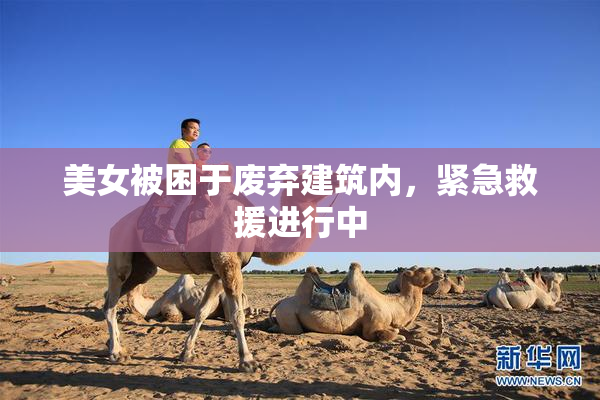 美女被困于废弃建筑内，紧急救援进行中