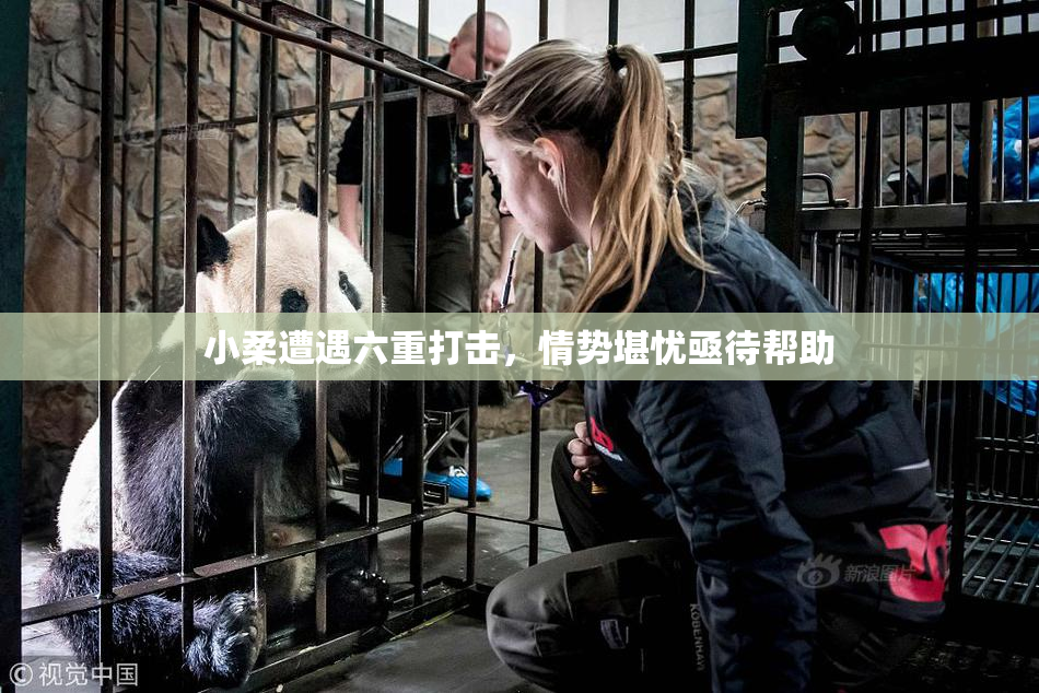 小柔遭遇六重打击，情势堪忧亟待帮助