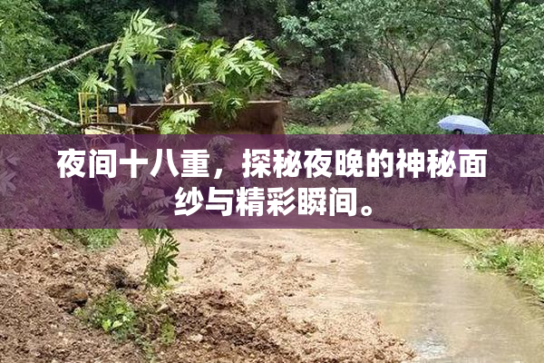 夜间十八重，探秘夜晚的神秘面纱与精彩瞬间。