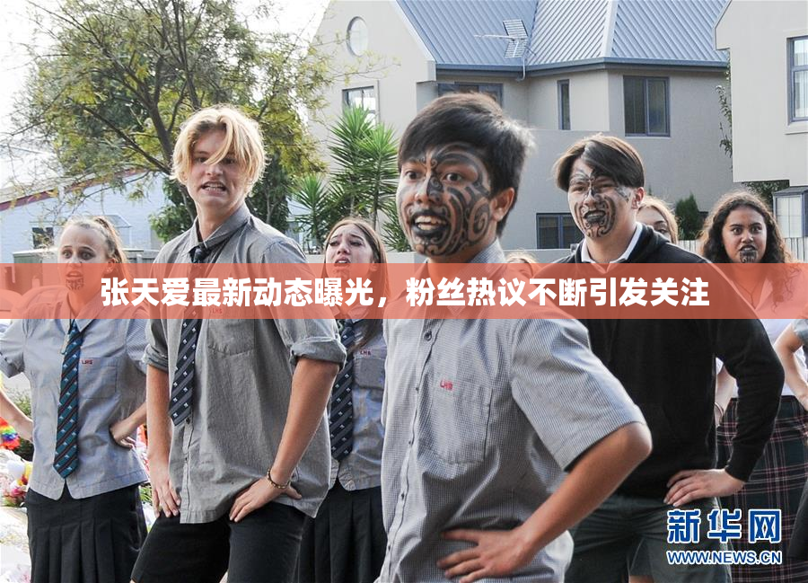张天爱最新动态曝光，粉丝热议不断引发关注