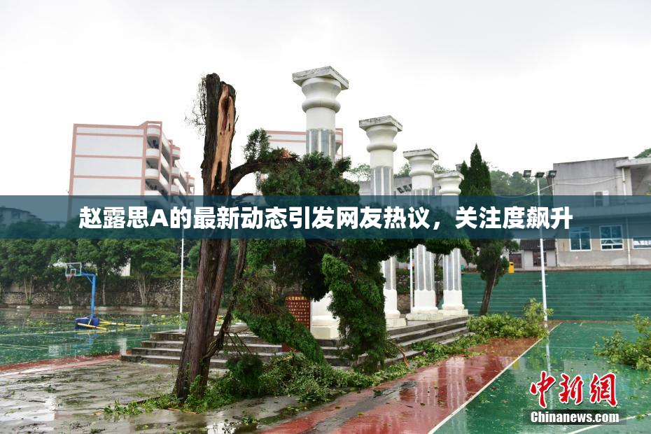 赵露思A的最新动态引发网友热议，关注度飙升
