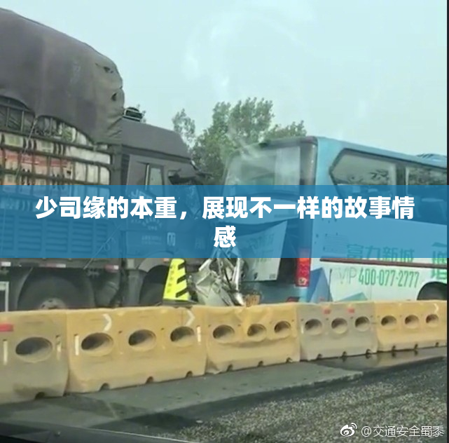 少司缘的本重，展现不一样的故事情感