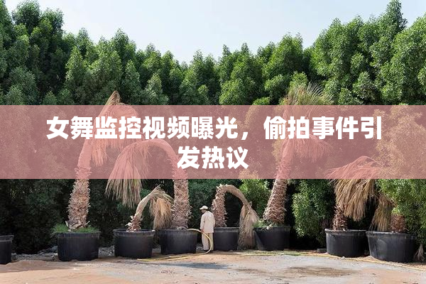 女舞监控视频曝光，偷拍事件引发热议