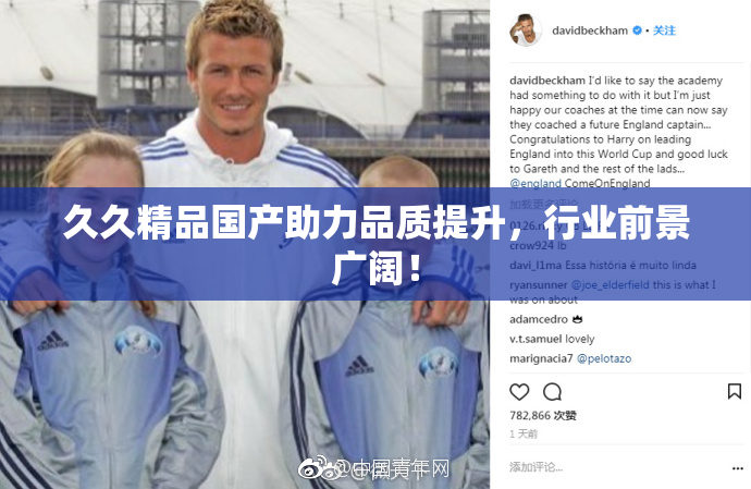 久久精品国产助力品质提升，行业前景广阔！