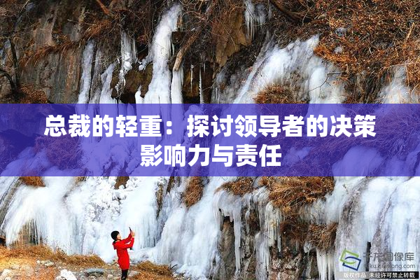 总裁的轻重：探讨领导者的决策影响力与责任