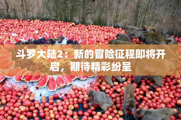 斗罗大陆2：新的冒险征程即将开启，期待精彩纷呈