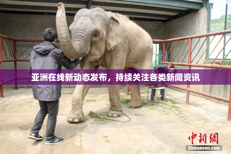 亚洲在线新动态发布，持续关注各类新闻资讯
