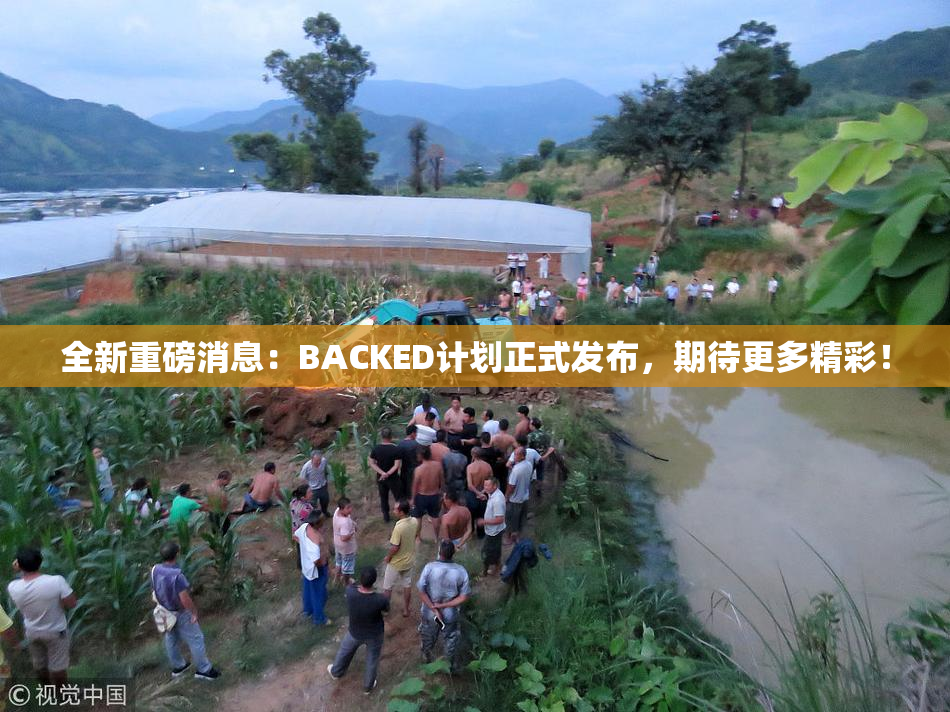 全新重磅消息：BACKED计划正式发布，期待更多精彩！