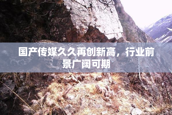 国产传媒久久再创新高，行业前景广阔可期