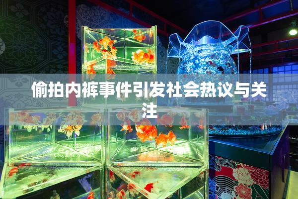 偷拍内裤事件引发社会热议与关注
