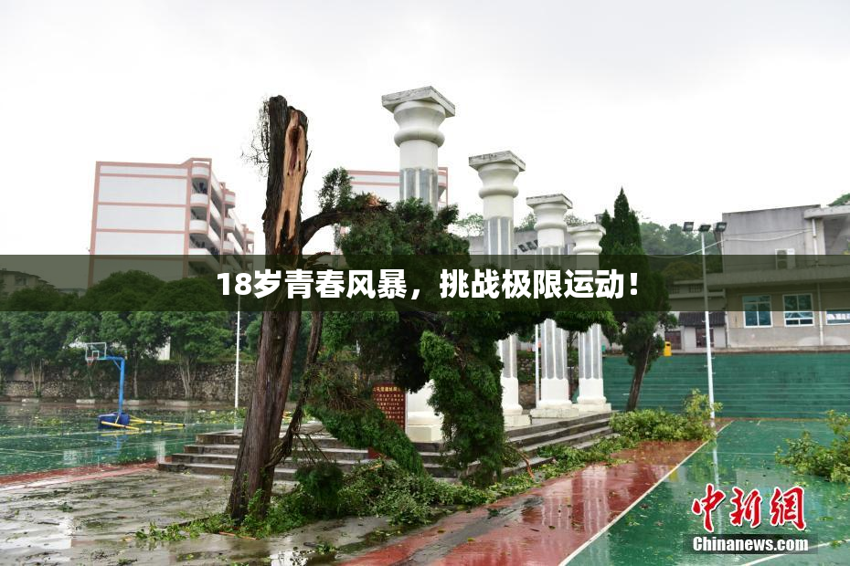 18岁青春风暴，挑战极限运动！