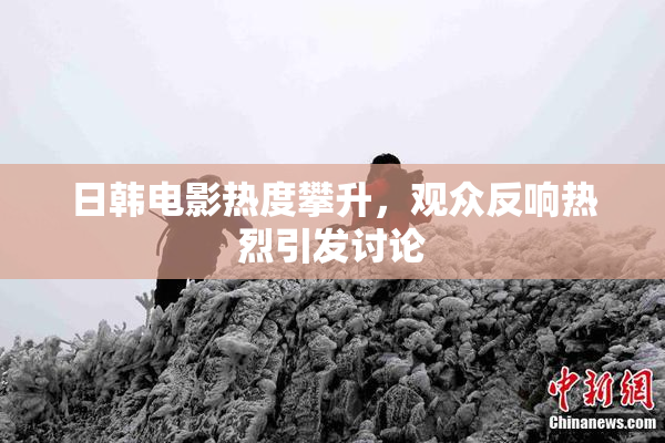 日韩电影热度攀升，观众反响热烈引发讨论