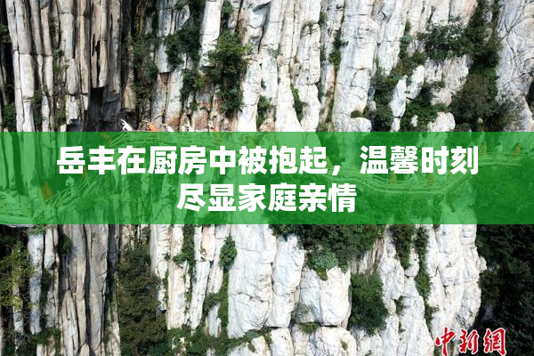 岳丰在厨房中被抱起，温馨时刻尽显家庭亲情