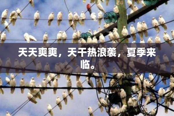 天天爽爽，天干热浪袭，夏季来临。