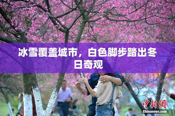 冰雪覆盖城市，白色脚步踏出冬日奇观