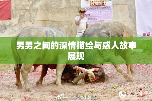 男男之间的深情描绘与感人故事展现